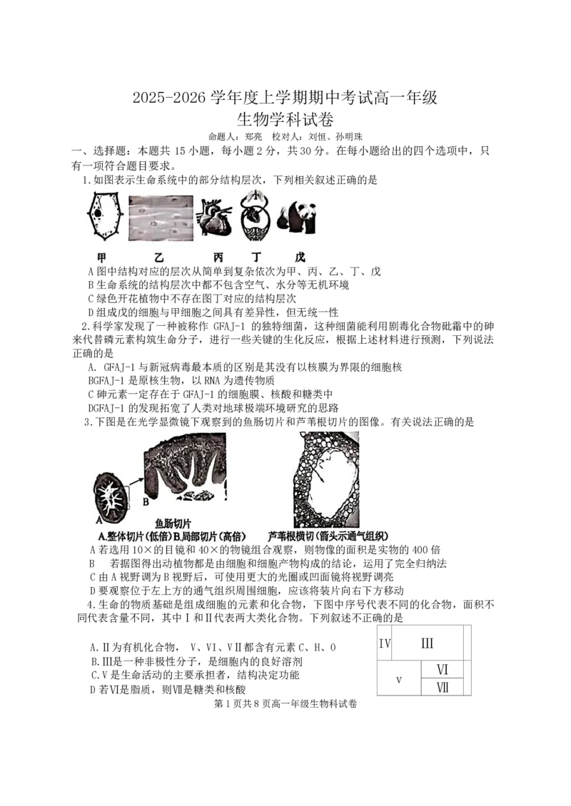 生物-辽宁省大连市第二十四中学2025-2026高一（上）期中_2025年11月高一试卷_251113辽宁省大连市第二十四中学2025-2026高一（上）期中考试（全）