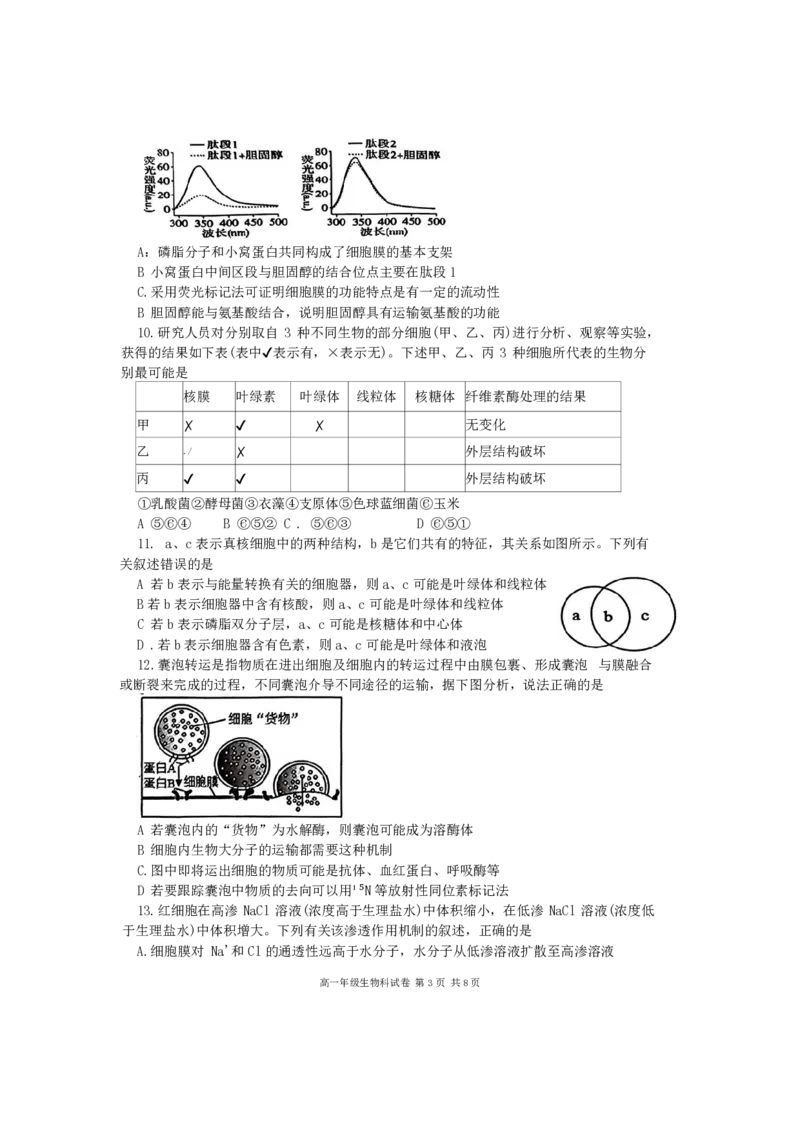 生物-辽宁省大连市第二十四中学2025-2026高一（上）期中_2025年11月高一试卷_251113辽宁省大连市第二十四中学2025-2026高一（上）期中考试（全）