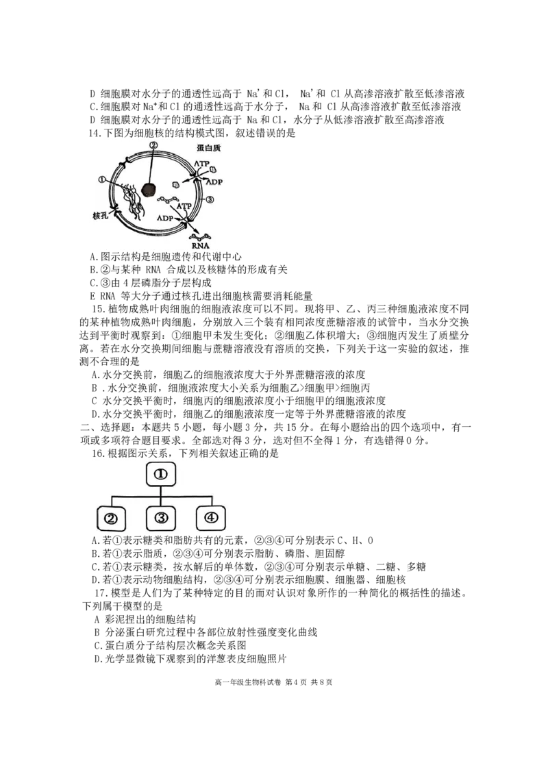 生物-辽宁省大连市第二十四中学2025-2026高一（上）期中_2025年11月高一试卷_251113辽宁省大连市第二十四中学2025-2026高一（上）期中考试（全）