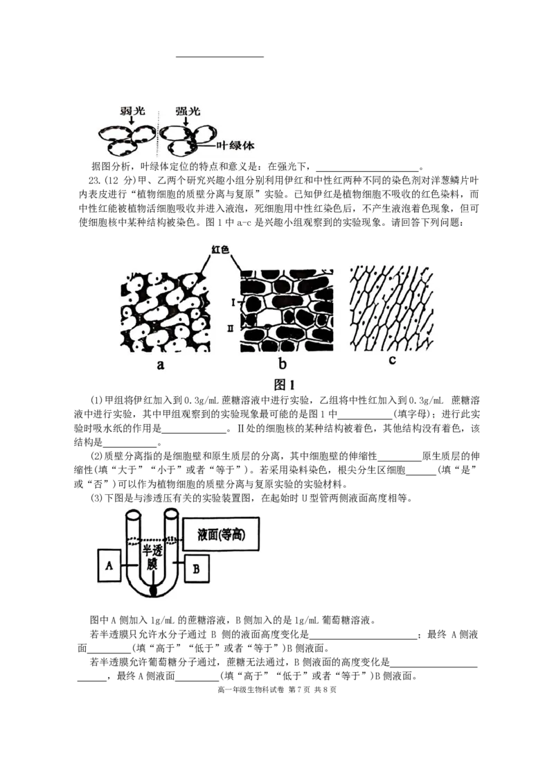 生物-辽宁省大连市第二十四中学2025-2026高一（上）期中_2025年11月高一试卷_251113辽宁省大连市第二十四中学2025-2026高一（上）期中考试（全）