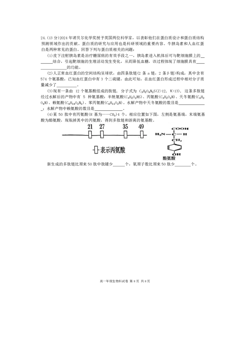 生物-辽宁省大连市第二十四中学2025-2026高一（上）期中_2025年11月高一试卷_251113辽宁省大连市第二十四中学2025-2026高一（上）期中考试（全）