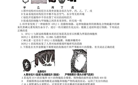 生物-辽宁省大连市第二十四中学2025-2026高一（上）期中_2025年11月高一试卷_251113辽宁省大连市第二十四中学2025-2026高一（上）期中考试（全）