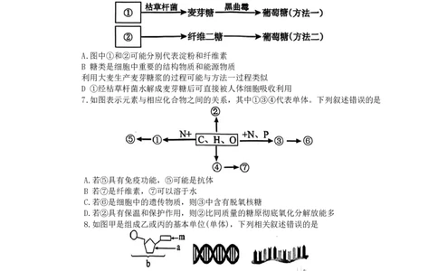 生物-辽宁省大连市第二十四中学2025-2026高一（上）期中_2025年11月高一试卷_251113辽宁省大连市第二十四中学2025-2026高一（上）期中考试（全）
