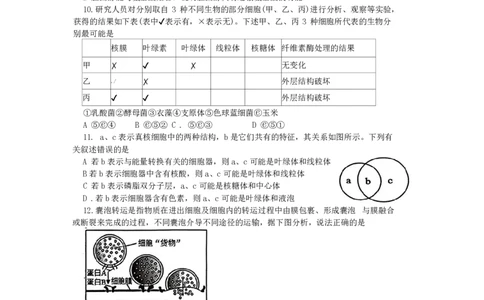 生物-辽宁省大连市第二十四中学2025-2026高一（上）期中_2025年11月高一试卷_251113辽宁省大连市第二十四中学2025-2026高一（上）期中考试（全）