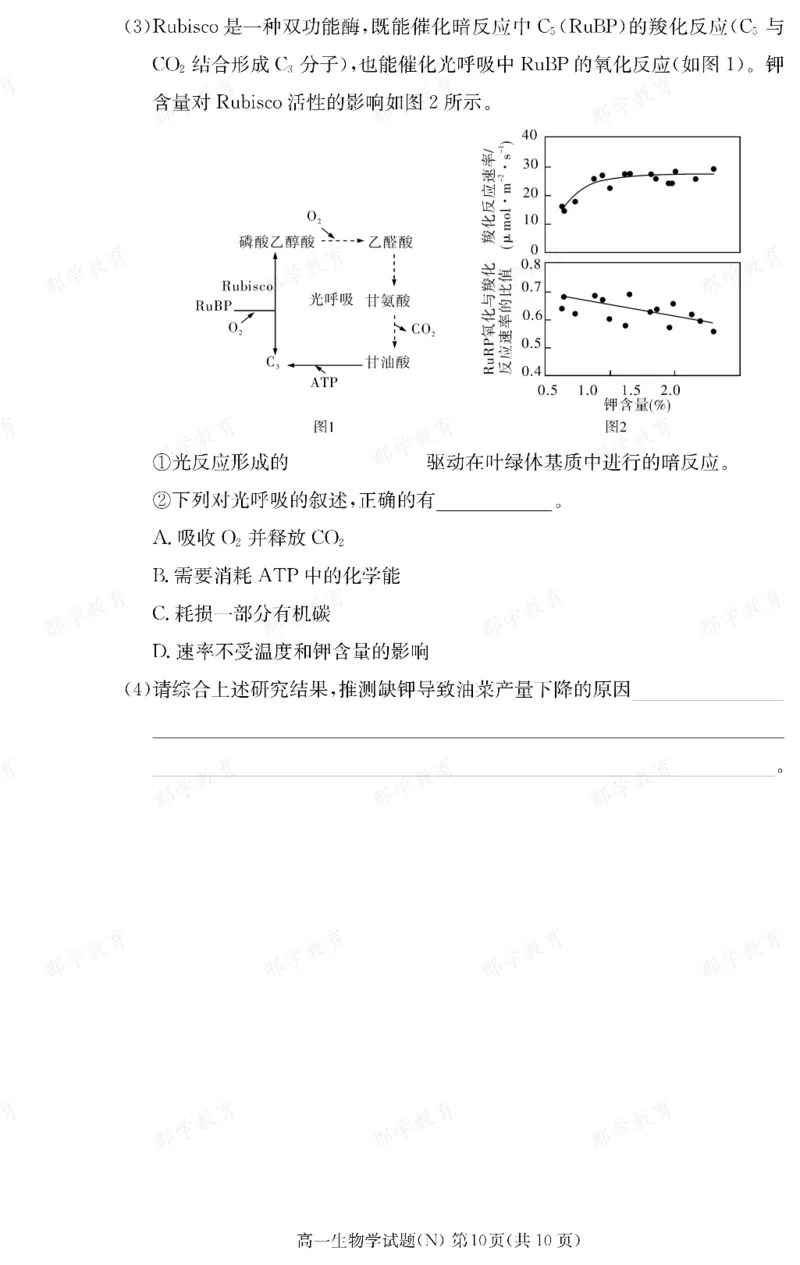 生物湖南省长郡中学2025-2026高一上学期期末考试_2026年02月高一试卷_260214湖南省长郡中学2025-2026高一上学期期末考试（全科）