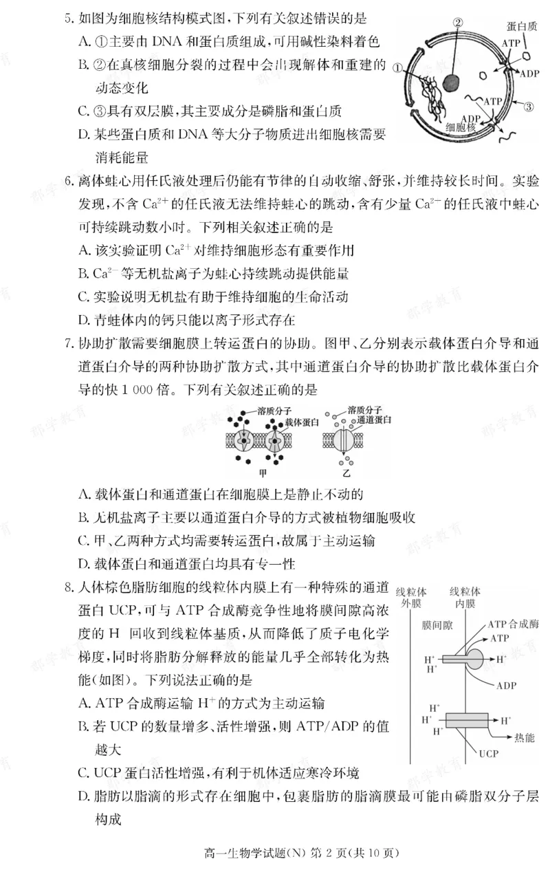 生物湖南省长郡中学2025-2026高一上学期期末考试_2026年02月高一试卷_260214湖南省长郡中学2025-2026高一上学期期末考试（全科）