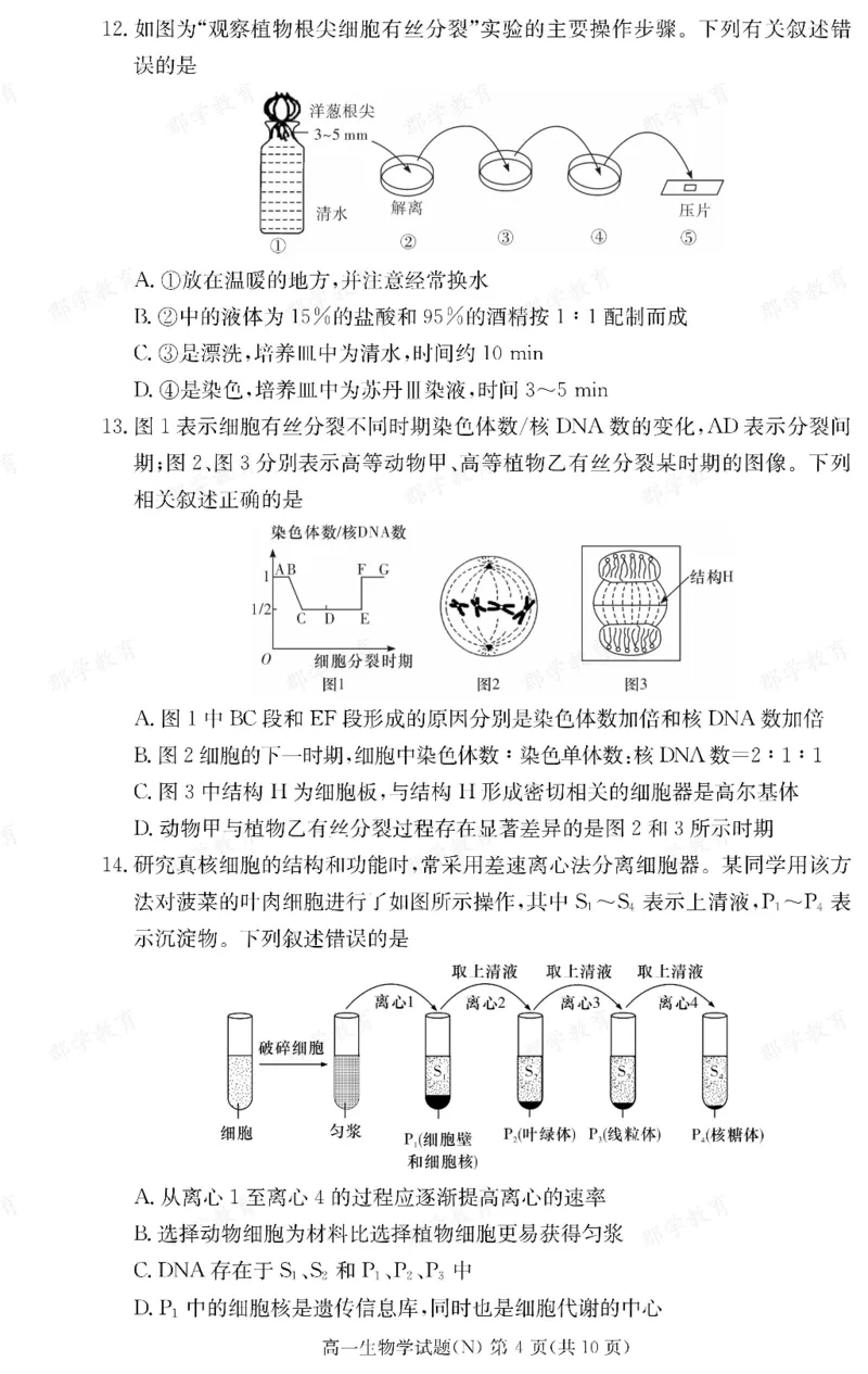 生物湖南省长郡中学2025-2026高一上学期期末考试_2026年02月高一试卷_260214湖南省长郡中学2025-2026高一上学期期末考试（全科）