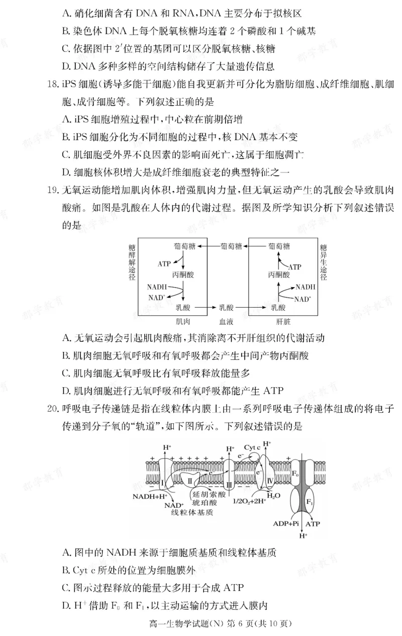 生物湖南省长郡中学2025-2026高一上学期期末考试_2026年02月高一试卷_260214湖南省长郡中学2025-2026高一上学期期末考试（全科）