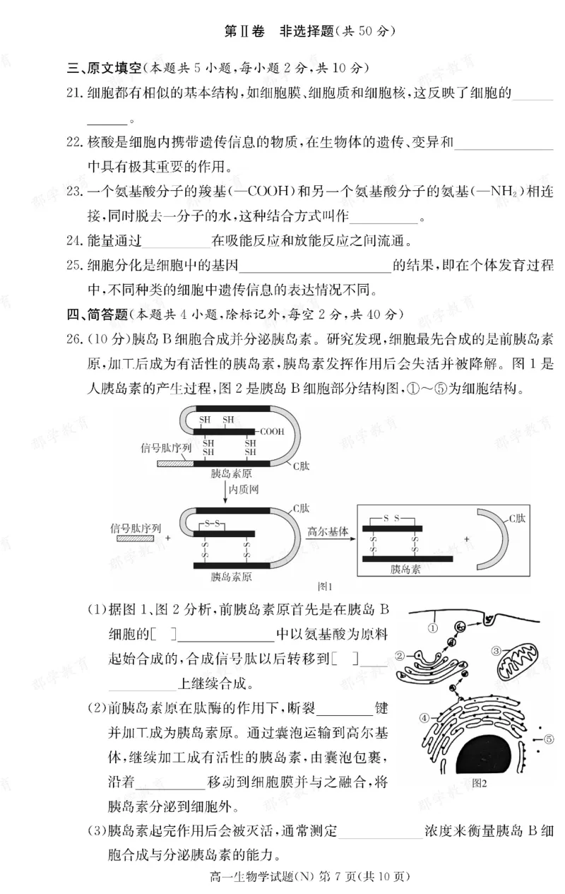 生物湖南省长郡中学2025-2026高一上学期期末考试_2026年02月高一试卷_260214湖南省长郡中学2025-2026高一上学期期末考试（全科）