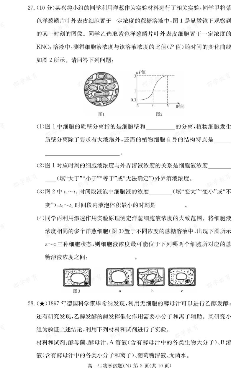 生物湖南省长郡中学2025-2026高一上学期期末考试_2026年02月高一试卷_260214湖南省长郡中学2025-2026高一上学期期末考试（全科）