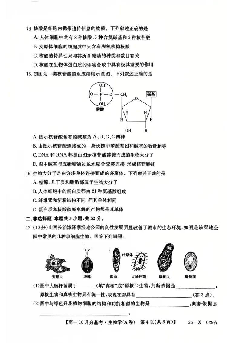 生物2025-2026学年高一10月夯基考_2025年10月高一试卷_251022山西省三晋卓越联盟2025-2026学年高一10月夯基考（全）_山西省三晋卓越联盟2025-2026学年高一10月夯基考生物试题含答案