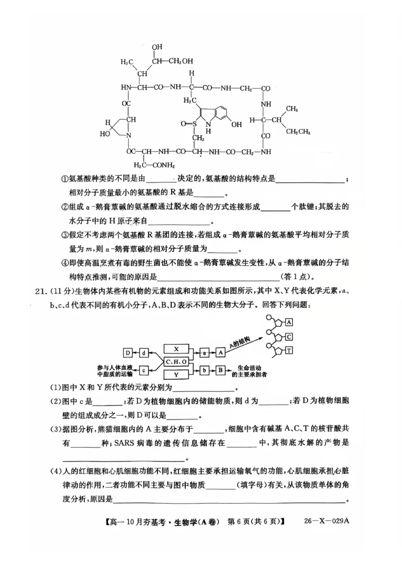 生物2025-2026学年高一10月夯基考_2025年10月高一试卷_251022山西省三晋卓越联盟2025-2026学年高一10月夯基考（全）_山西省三晋卓越联盟2025-2026学年高一10月夯基考生物试题含答案