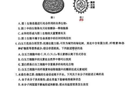 生物2025-2026学年高一10月夯基考_2025年10月高一试卷_251022山西省三晋卓越联盟2025-2026学年高一10月夯基考（全）_山西省三晋卓越联盟2025-2026学年高一10月夯基考生物试题含答案
