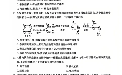 生物2025-2026学年高一10月夯基考_2025年10月高一试卷_251022山西省三晋卓越联盟2025-2026学年高一10月夯基考（全）_山西省三晋卓越联盟2025-2026学年高一10月夯基考生物试题含答案