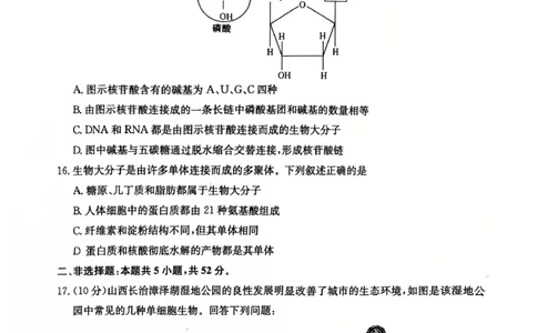 生物2025-2026学年高一10月夯基考_2025年10月高一试卷_251022山西省三晋卓越联盟2025-2026学年高一10月夯基考（全）_山西省三晋卓越联盟2025-2026学年高一10月夯基考生物试题含答案