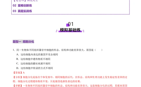 第14讲细胞的分化、衰老、死亡和癌变（练习）（解析版）_2025年新高考资料_一轮复习_2025年高考生物一轮复习讲练测（新教材新高考）