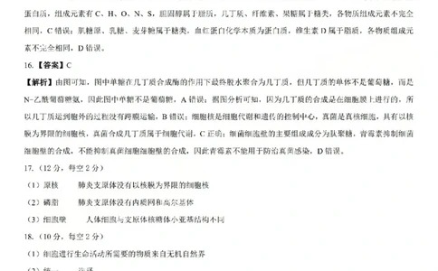 生物答案_2025年10月高一试卷_251030山西省2025-2026学年高一第一学期10月阶段测试（全）