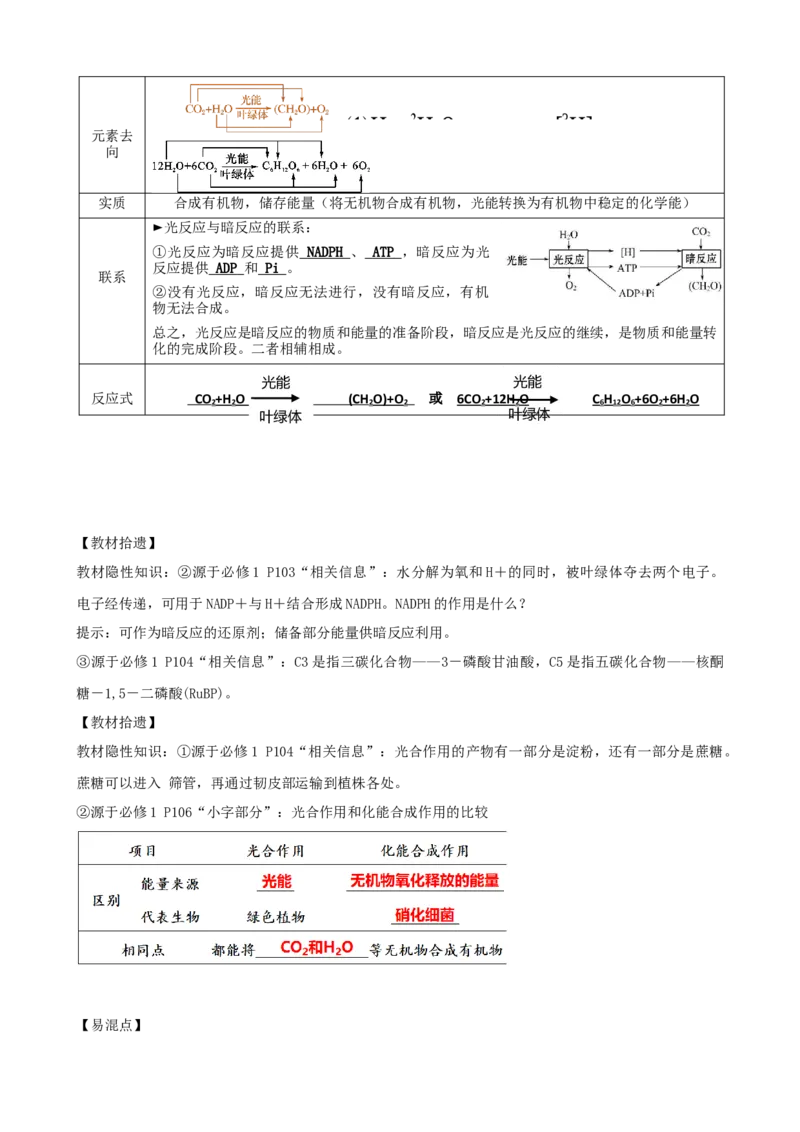 第10.1讲光合色素和光合作用原理（讲义）（学生版）_新高考复习资料_2024年新高考复习资料_一轮复习资料_完2024年高考生物一轮复习讲练测(课件+讲义+练习)（新高考）_讲义+练习