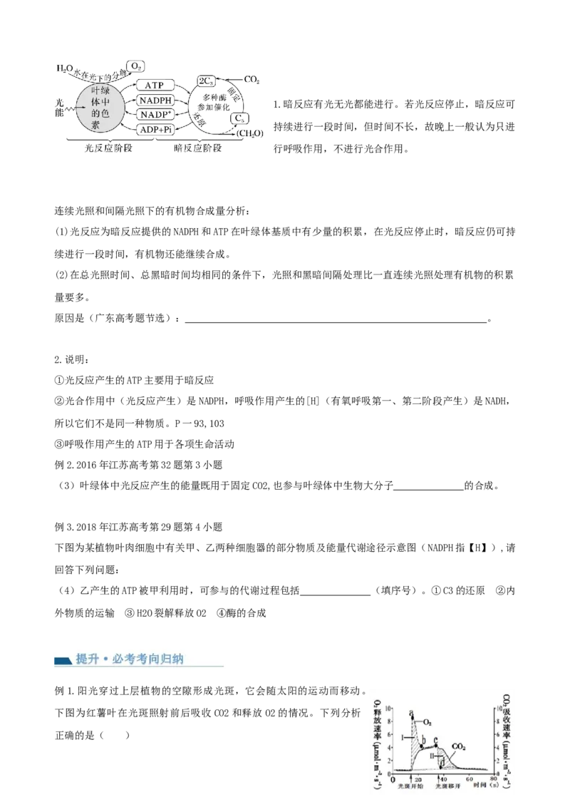 第10.1讲光合色素和光合作用原理（讲义）（学生版）_新高考复习资料_2024年新高考复习资料_一轮复习资料_完2024年高考生物一轮复习讲练测(课件+讲义+练习)（新高考）_讲义+练习