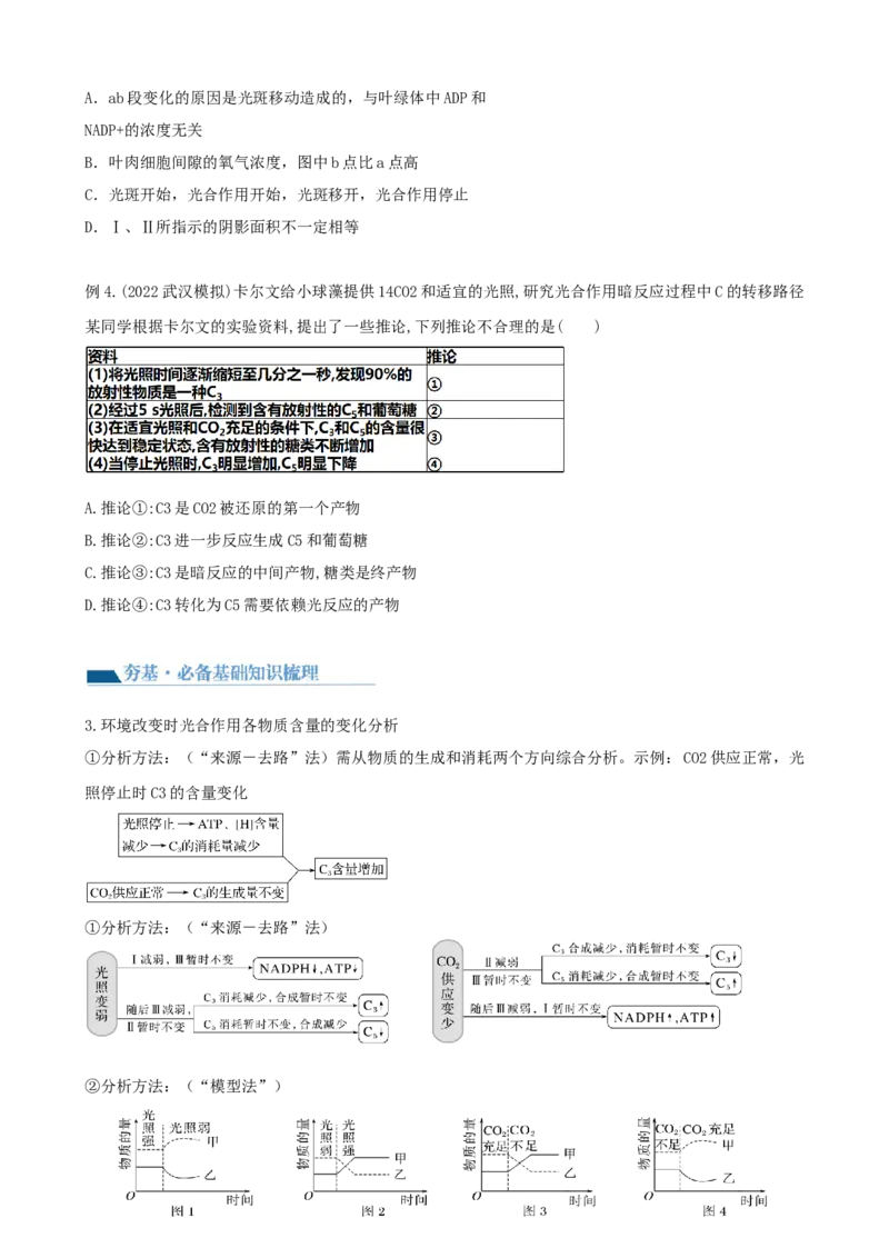 第10.1讲光合色素和光合作用原理（讲义）（学生版）_新高考复习资料_2024年新高考复习资料_一轮复习资料_完2024年高考生物一轮复习讲练测(课件+讲义+练习)（新高考）_讲义+练习