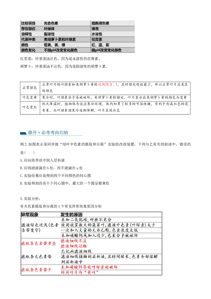第10.1讲光合色素和光合作用原理（讲义）（学生版）_新高考复习资料_2024年新高考复习资料_一轮复习资料_完2024年高考生物一轮复习讲练测(课件+讲义+练习)（新高考）_讲义+练习