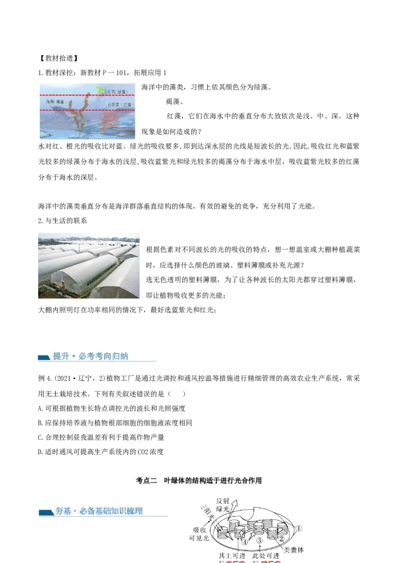 第10.1讲光合色素和光合作用原理（讲义）（学生版）_新高考复习资料_2024年新高考复习资料_一轮复习资料_完2024年高考生物一轮复习讲练测(课件+讲义+练习)（新高考）_讲义+练习