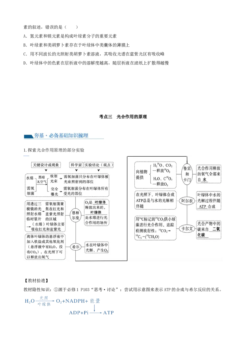第10.1讲光合色素和光合作用原理（讲义）（学生版）_新高考复习资料_2024年新高考复习资料_一轮复习资料_完2024年高考生物一轮复习讲练测(课件+讲义+练习)（新高考）_讲义+练习