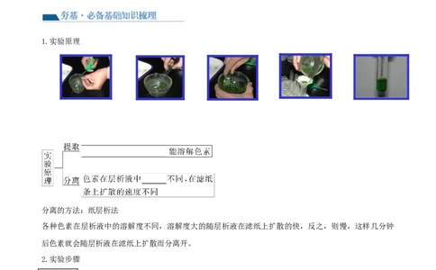 第10.1讲光合色素和光合作用原理（讲义）（学生版）_新高考复习资料_2024年新高考复习资料_一轮复习资料_完2024年高考生物一轮复习讲练测(课件+讲义+练习)（新高考）_讲义+练习