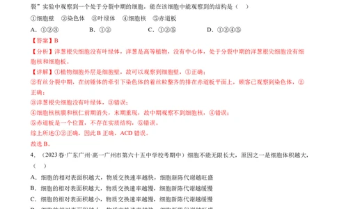 第12讲细胞的增殖（练习）（解析版）_新高考复习资料_2024年新高考复习资料_一轮复习资料_完2024年高考生物一轮复习讲练测(课件+讲义+练习)（新高考）_讲义+练习
