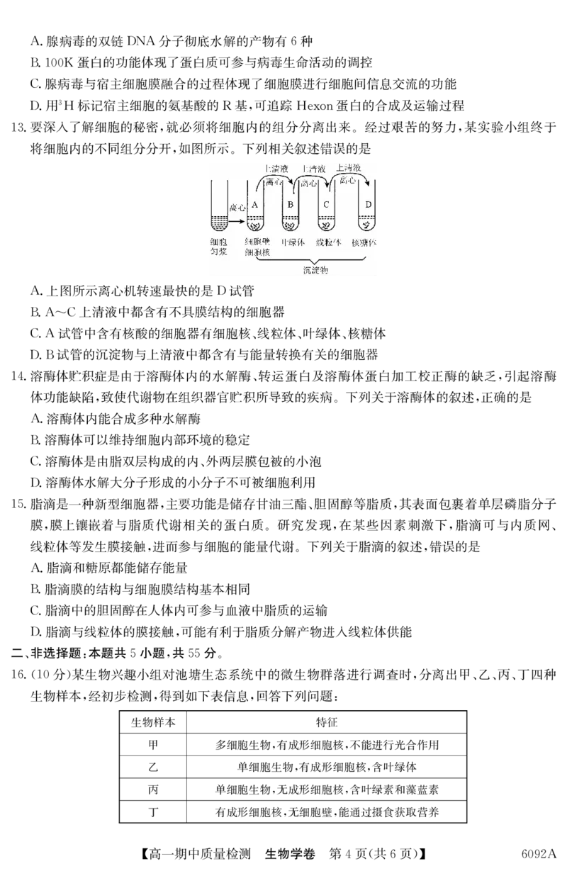 生物安徽省华师联盟2025~2026学年秋季学期高一期中质量检测（6092A）_2025年11月高一试卷_251121安徽省华师联盟2025~2026学年秋季学期高一期中质量检测（6092A）（全）