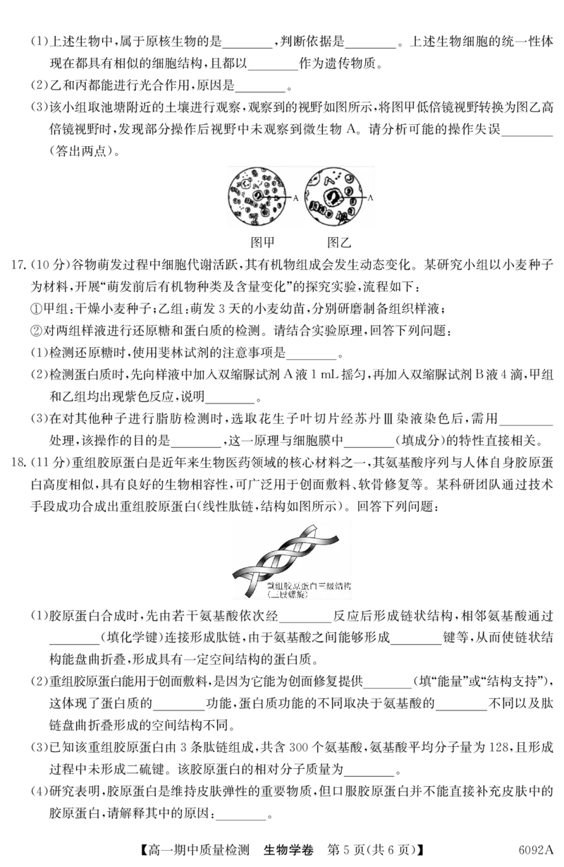 生物安徽省华师联盟2025~2026学年秋季学期高一期中质量检测（6092A）_2025年11月高一试卷_251121安徽省华师联盟2025~2026学年秋季学期高一期中质量检测（6092A）（全）