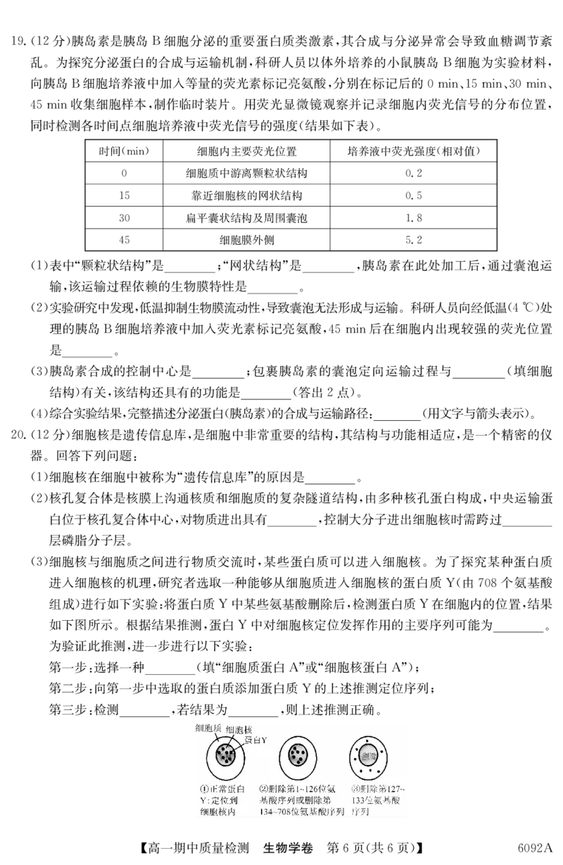 生物安徽省华师联盟2025~2026学年秋季学期高一期中质量检测（6092A）_2025年11月高一试卷_251121安徽省华师联盟2025~2026学年秋季学期高一期中质量检测（6092A）（全）