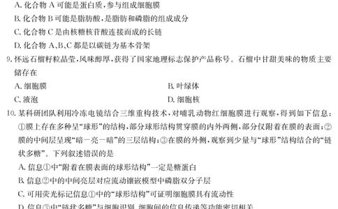 生物安徽省华师联盟2025~2026学年秋季学期高一期中质量检测（6092A）_2025年11月高一试卷_251121安徽省华师联盟2025~2026学年秋季学期高一期中质量检测（6092A）（全）