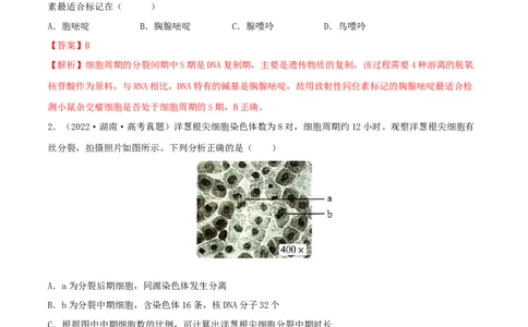 第10练细胞增殖（解析版）_新高考复习资料_2023年新高考复习资料_一轮复习_2023年高考生物一轮复习小题多维练（新高考专用）