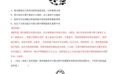 第10练细胞增殖（解析版）_新高考复习资料_2023年新高考复习资料_一轮复习_2023年高考生物一轮复习小题多维练（新高考专用）