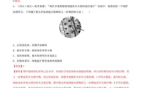 第10练细胞增殖（解析版）_新高考复习资料_2023年新高考复习资料_一轮复习_2023年高考生物一轮复习小题多维练（新高考专用）