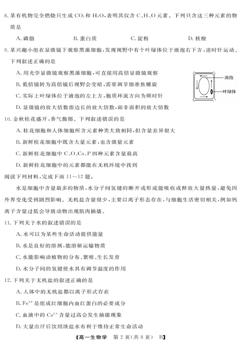 生物试卷_2025年10月高一试卷_251023浙江省强基联盟2025-2026学年高一上学期10月联考B卷（全）_浙江省强基联盟2025-2026学年高一上学期10月联考B卷生物PDF版含解析
