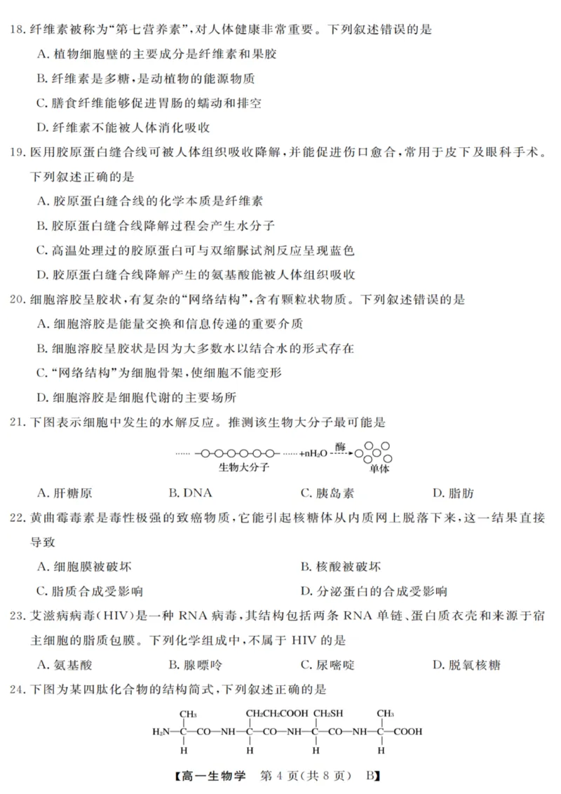 生物试卷_2025年10月高一试卷_251023浙江省强基联盟2025-2026学年高一上学期10月联考B卷（全）_浙江省强基联盟2025-2026学年高一上学期10月联考B卷生物PDF版含解析