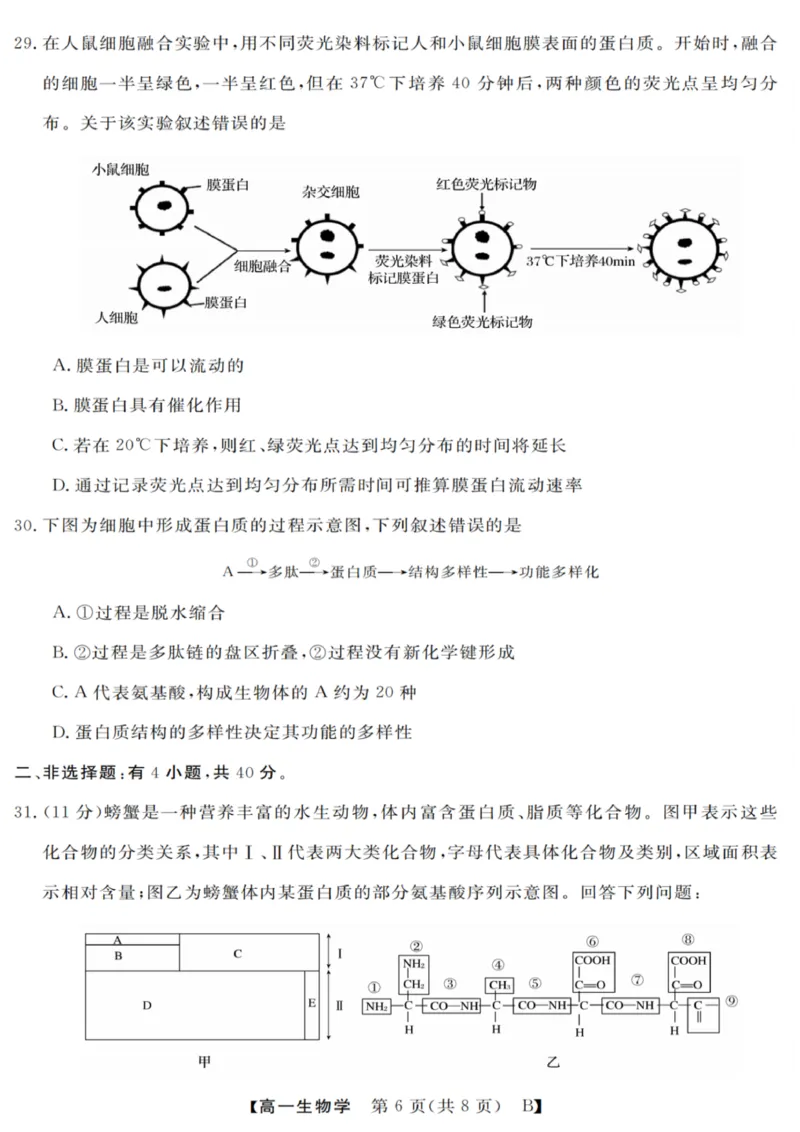 生物试卷_2025年10月高一试卷_251023浙江省强基联盟2025-2026学年高一上学期10月联考B卷（全）_浙江省强基联盟2025-2026学年高一上学期10月联考B卷生物PDF版含解析