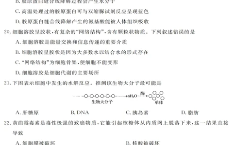 生物试卷_2025年10月高一试卷_251023浙江省强基联盟2025-2026学年高一上学期10月联考B卷（全）_浙江省强基联盟2025-2026学年高一上学期10月联考B卷生物PDF版含解析
