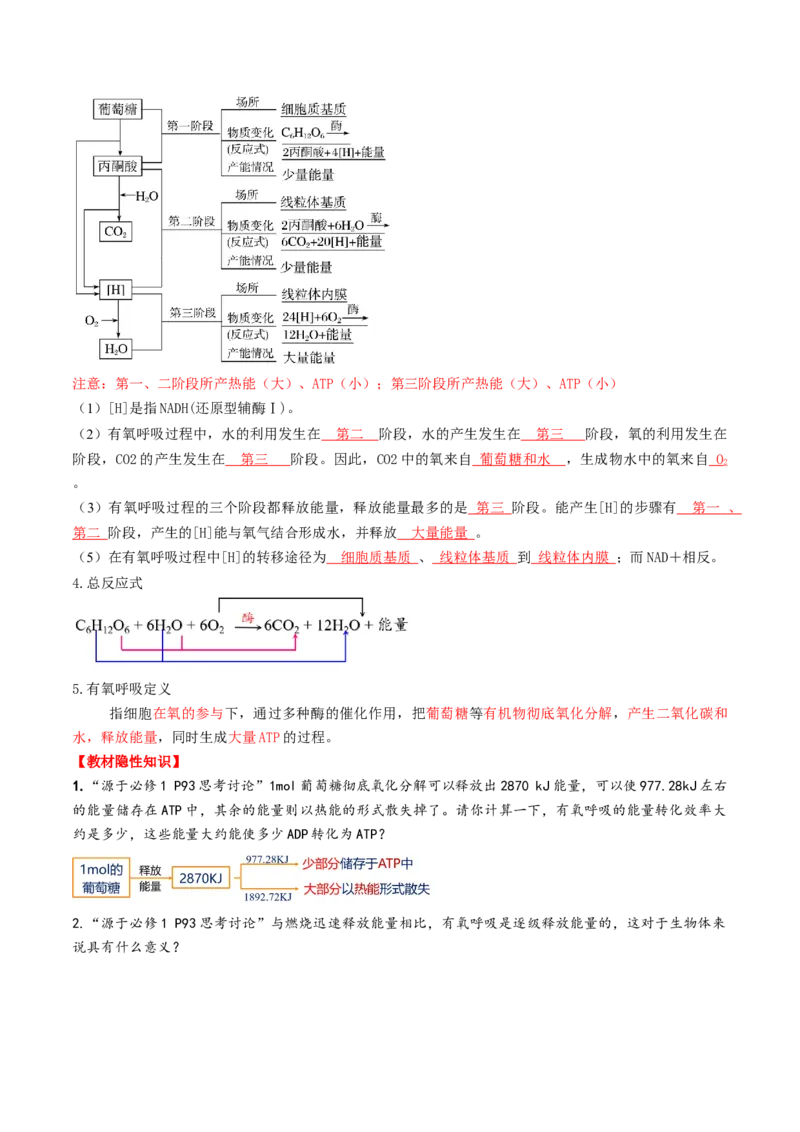 第09讲细胞呼吸（讲义）（解析版）_2025年新高考资料_一轮复习_2025年高考生物一轮复习讲练测（新教材新高考）