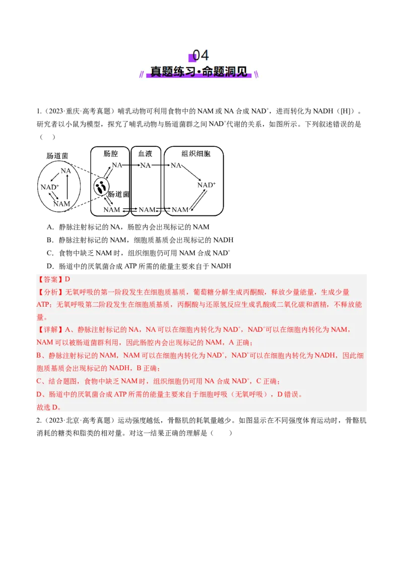 第09讲细胞呼吸（讲义）（解析版）_2025年新高考资料_一轮复习_2025年高考生物一轮复习讲练测（新教材新高考）