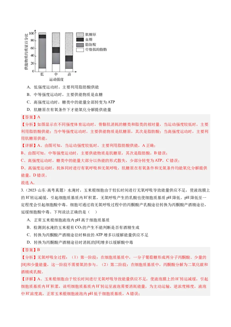 第09讲细胞呼吸（讲义）（解析版）_2025年新高考资料_一轮复习_2025年高考生物一轮复习讲练测（新教材新高考）
