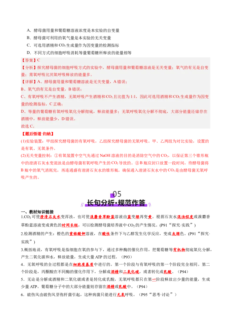 第09讲细胞呼吸（讲义）（解析版）_2025年新高考资料_一轮复习_2025年高考生物一轮复习讲练测（新教材新高考）