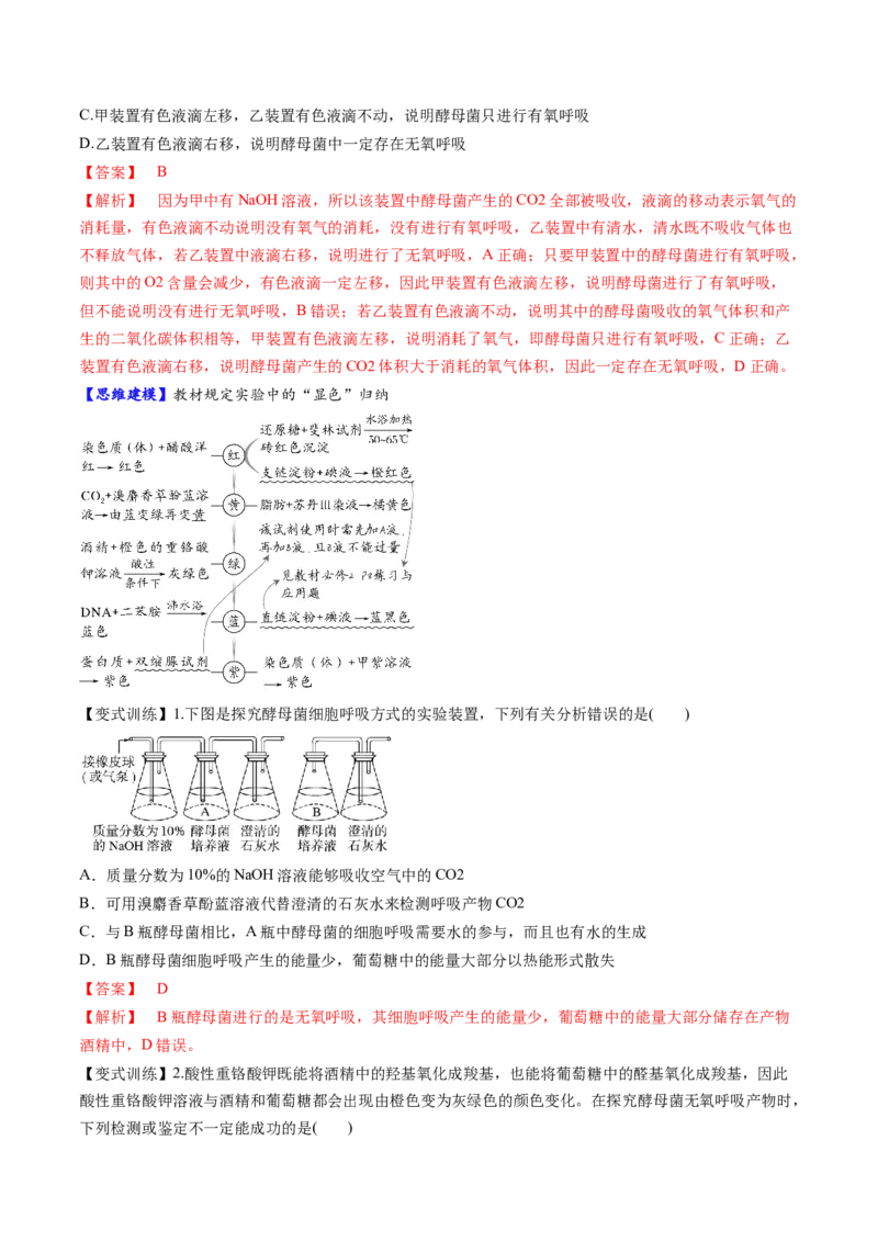 第09讲细胞呼吸（讲义）（解析版）_2025年新高考资料_一轮复习_2025年高考生物一轮复习讲练测（新教材新高考）
