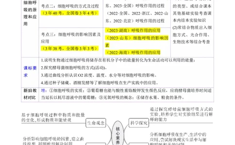 第09讲细胞呼吸（讲义）（解析版）_2025年新高考资料_一轮复习_2025年高考生物一轮复习讲练测（新教材新高考）