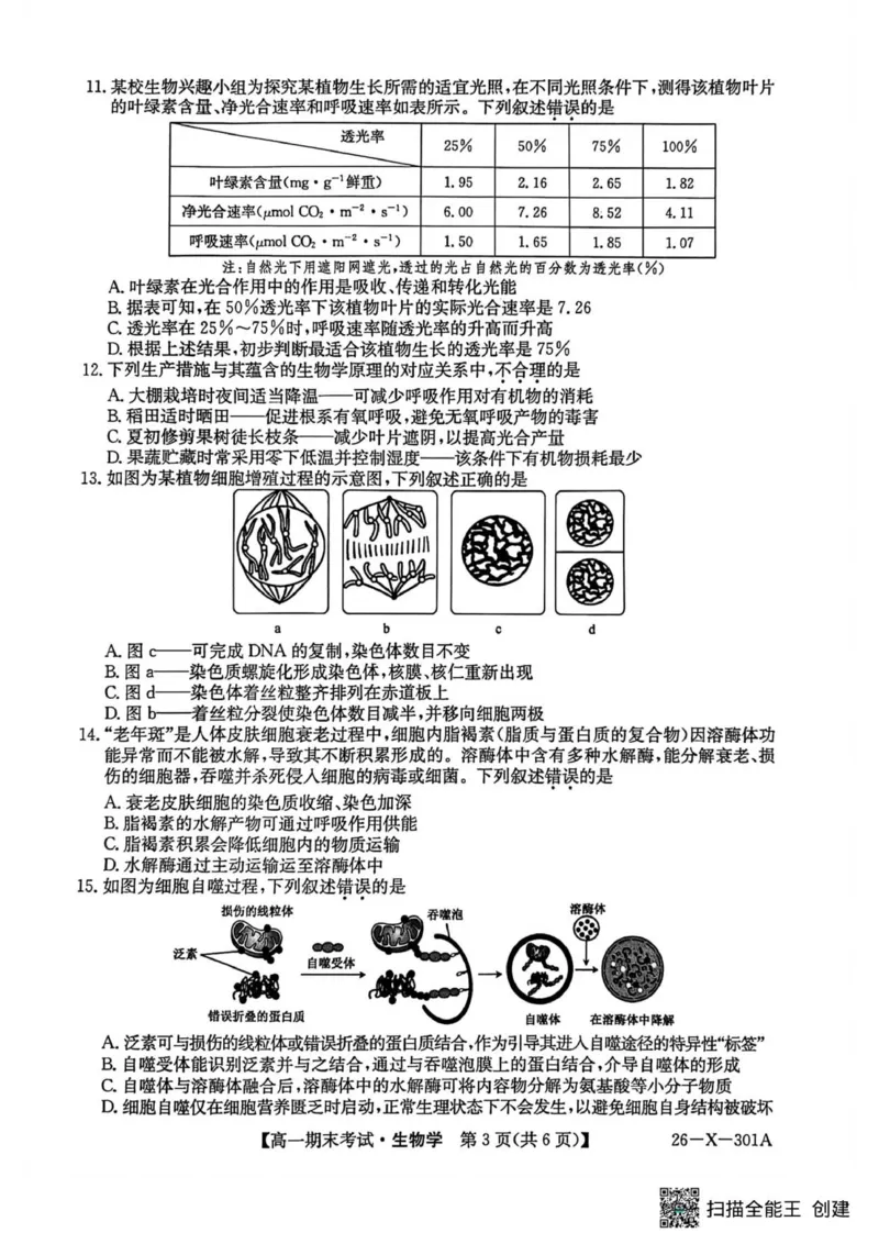 生物试题_2026年01月高一试卷_260127黑龙江省龙东十校联盟2025-2026学年高一上学期期末考试（全）_黑龙江省龙东十校联盟2025-2026学年高一上学期期末考试生物试题（图片版，含答案）
