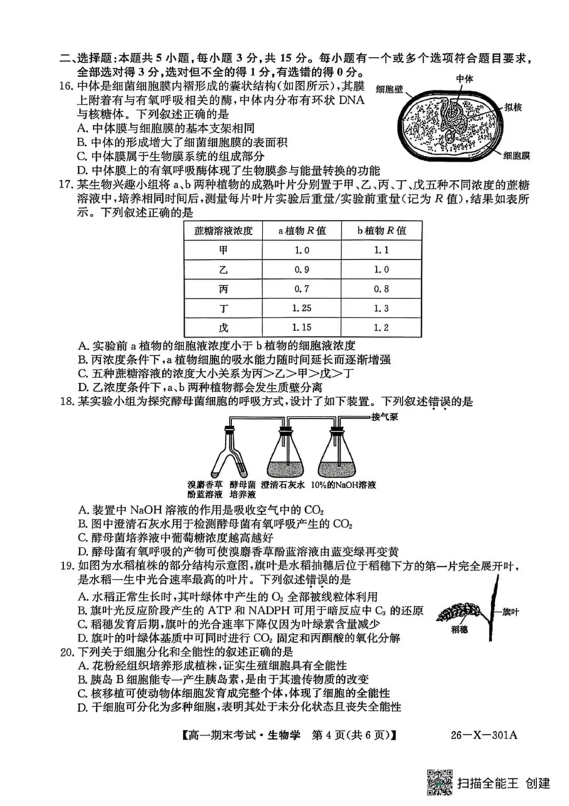 生物试题_2026年01月高一试卷_260127黑龙江省龙东十校联盟2025-2026学年高一上学期期末考试（全）_黑龙江省龙东十校联盟2025-2026学年高一上学期期末考试生物试题（图片版，含答案）