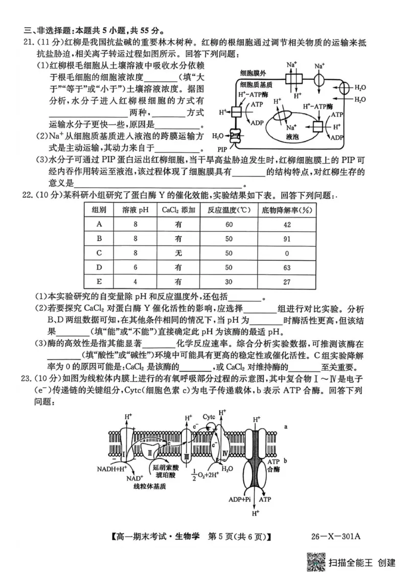 生物试题_2026年01月高一试卷_260127黑龙江省龙东十校联盟2025-2026学年高一上学期期末考试（全）_黑龙江省龙东十校联盟2025-2026学年高一上学期期末考试生物试题（图片版，含答案）