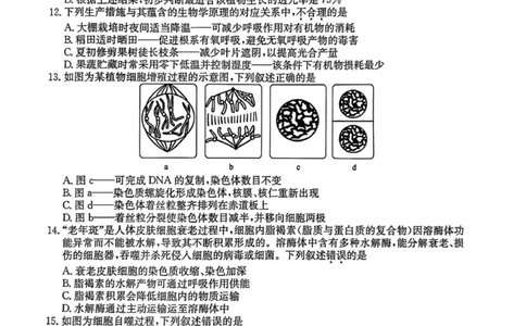 生物试题_2026年01月高一试卷_260127黑龙江省龙东十校联盟2025-2026学年高一上学期期末考试（全）_黑龙江省龙东十校联盟2025-2026学年高一上学期期末考试生物试题（图片版，含答案）